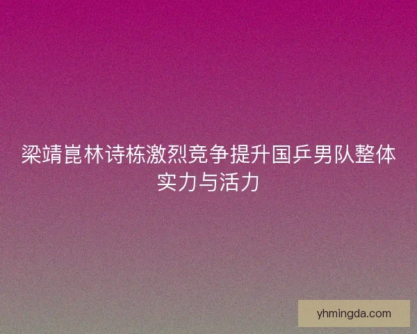 梁靖崑林诗栋激烈竞争提升国乒男队整体实力与活力