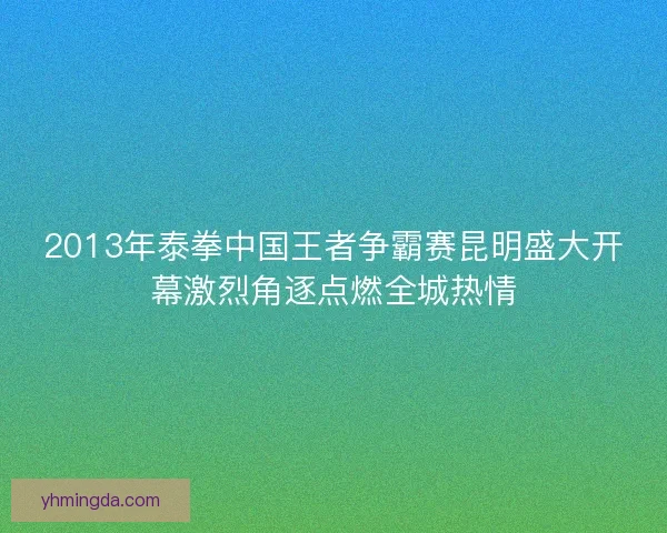 2013年泰拳中国王者争霸赛昆明盛大开幕激烈角逐点燃全城热情